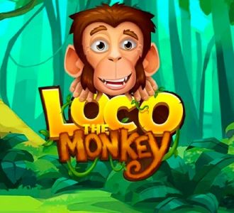 Loco the Monkey