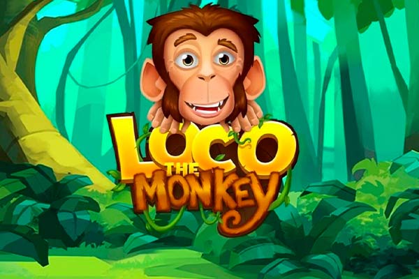 Loco the Monkey